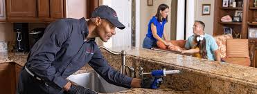 Real Estate Pest Inspections in Hawley, PA